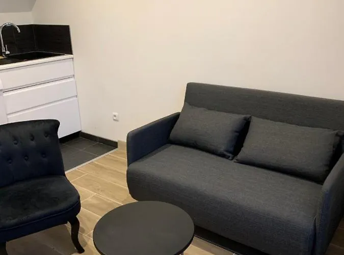 Le Petit Rougemare Hyper Centre Apartament Rouen